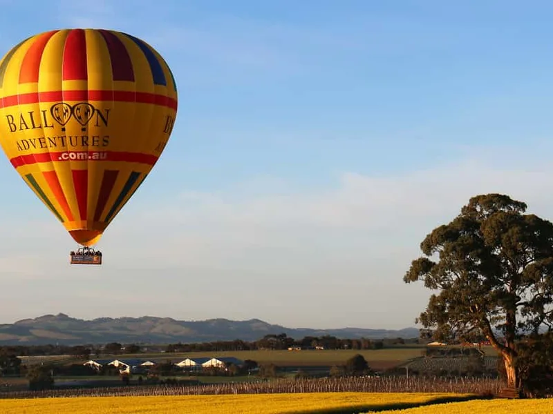 Barossa Valley Sunrise Hot Air Balloon Flight — hot air balloon ride in Barossa Valley