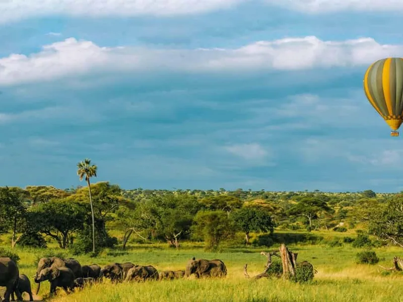 Serengeti & Tarangire: Balloon Safari with Bush Breakfast — hot air balloon ride in Serengeti